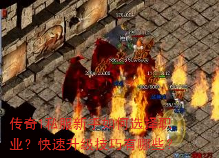 ����1˽���������ѡ��ְҵ������������������Щ��