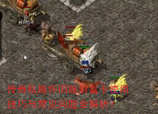 ����˽�����ɷ��Ƹ���ʹ�ü����볣������ȫ������