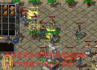 ���ǵ�ְҵ����˽�����������ο��������ȼ���װ����