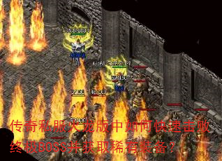 ����˽������������ο��ٻ����ռ�BOSS����ȡϡ��װ����