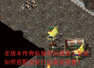 �ϰ汾����˽�������սʿְҵ��δ��似�ܴ������˺���