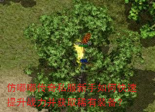 ���ུ���˽��������ο�������ս������ȡϡ��װ����