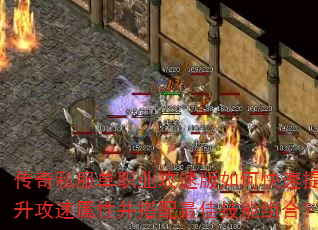 ����˽����ְҵ���ٰ���ο��������������Բ�������Ѽ�����ϣ�