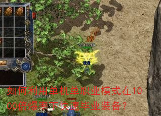 如何利用单机单职业模式在1000倍爆率下快速毕业装备? 如何利用单机单职业模式在1000倍爆率下快速毕业装备?