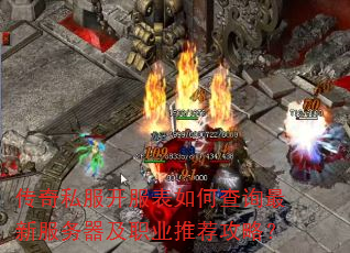 ����˽����������β�ѯ���·�������ְҵ�Ƽ����ԣ�