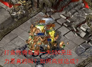 �����˽��һ��500��ѹ�����������θ�Ч��ɣ�