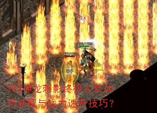 195������Ӱ�ռ�װ����λ�ȡ��ս���������ɣ�