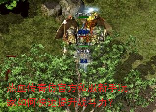 ��Ѫ����¹ٷ�˽�����������ο�������ս������