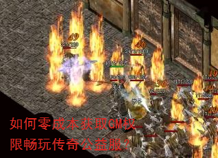 �����ɱ���ȡGMȨ�޳��洫�湫�����