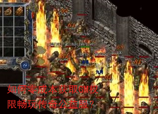 �����ɱ���ȡGMȨ�޳��洫�湫�����