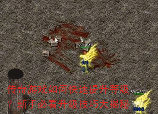 ������Ϸ��ο��������ȼ������ֱؿ��������ɴ����