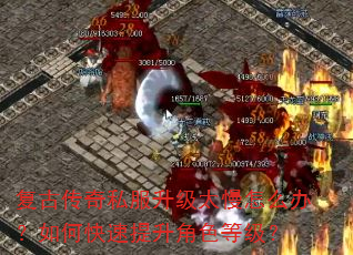 ���Ŵ���˽������̫����ô�죿��ο���������ɫ�ȼ���