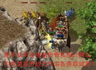 ��������ڵ��Դ���˽��sf��ַ�п�������ս����װ����ȡЧ�ʣ�