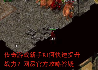 ������Ϸ������ο�������ս�������׹ٷ����Դ���