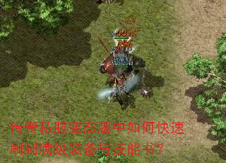 ����˽����̬������ο���ˢ������װ���뼼���飿