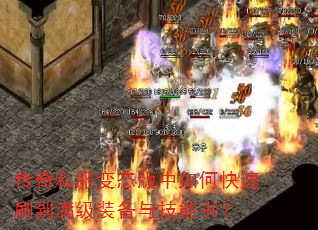 ����˽����̬������ο���ˢ������װ���뼼���飿