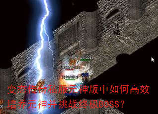 ��̬����˽��Ԫ�������θ�Ч����Ԫ����ս�ռ�BOSS��