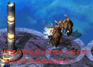 ��̬����˽��Ԫ�������θ�Ч����Ԫ����ս�ռ�BOSS��