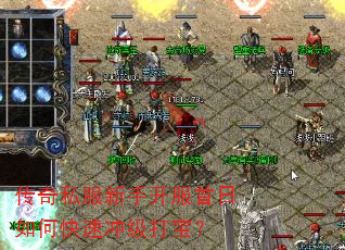 ����˽�����ֿ���������ο��ٳ弶�򱦣�