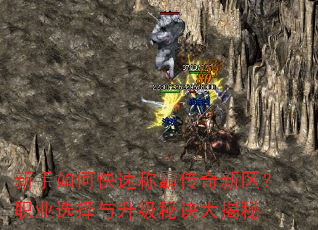 ������ο��ٳưԴ���������ְҵѡ���������ؾ������