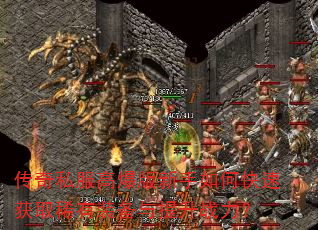 ����˽���߱���������ο��ٻ�ȡϡ��װ��������ս����