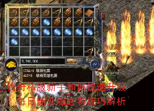 ����˽��������ο���������ÿ���¿����ؿ����ɽ���