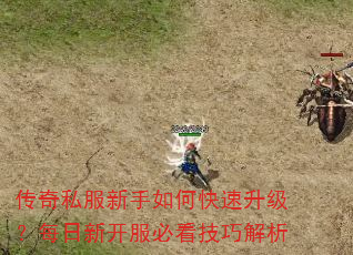 ����˽��������ο���������ÿ���¿����ؿ����ɽ���