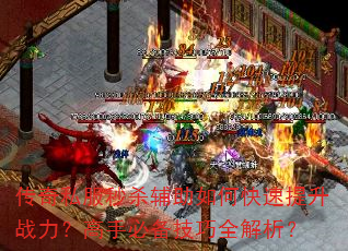 ����˽����ɱ������ο�������ս�������ֱر�����ȫ������