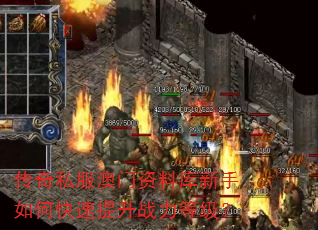 ����˽���������Ͽ�������ο�������ս���ȼ���