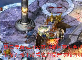 ��Ѫ����˽������������봽�ˢ��Ʒװ�������ֱؿ�ս��������������Щ��