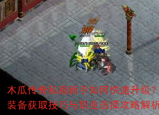 ľ�ϴ���˽��������ο�������������װ����ȡ������ְҵѡ���Խ�����