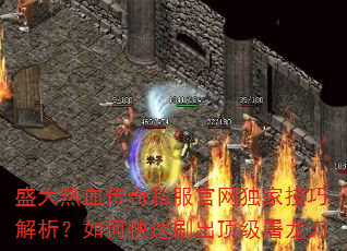 ʢ����Ѫ����˽���������Ҽ��ɽ�������ο���ˢ������������