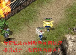 ����˽������������ο�������ս�����ȡϡ��װ����