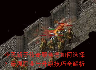 �����¿�������������ѡ����ǿְҵ����������ȫ����