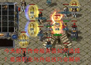 �����¿�������������ѡ����ǿְҵ����������ȫ����