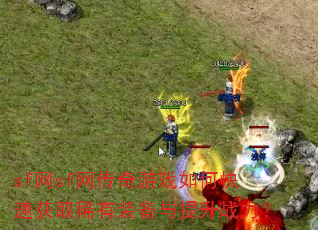 sf��sf��������Ϸ��ο��ٻ�ȡϡ��װ��������ս����