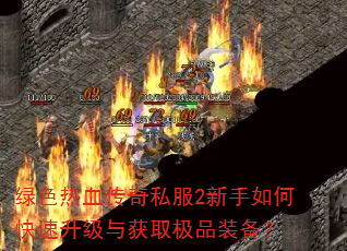 ��ɫ��Ѫ����˽��2������ο����������ȡ��Ʒװ����