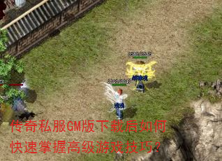 ����˽��GM�����غ���ο������ո߼���Ϸ���ɣ�