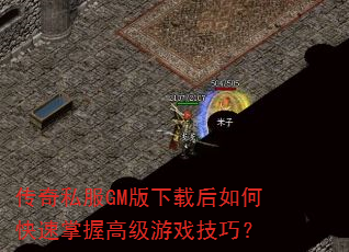 ����˽��GM�����غ���ο������ո߼���Ϸ���ɣ�