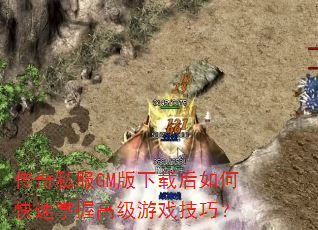 ����˽��GM�����غ���ο������ո߼���Ϸ���ɣ�