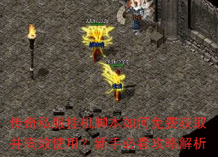 ����˽���һ��ű������ѻ�ȡ����Чʹ�ã����ֱؿ����Խ���