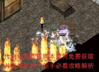 ����˽���һ��ű������ѻ�ȡ����Чʹ�ã����ֱؿ����Խ���