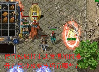 ����˽�������ٶ��������������Ч���Լ�������Щ��