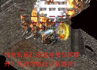 ����˽�������ٶ��������������Ч���Լ�������Щ��