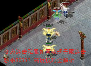 ��̬����˽�����ʵ������������ɱBOSS�����漼��ȫ����