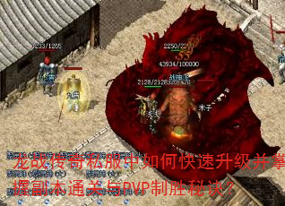 ��ս����˽������ο������������ո���ͨ����PVP��ʤ�ؾ���