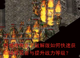 �ؽ䴫������ƽ����ο��ٻ�ȡϡ��װ��������ս���ȼ���