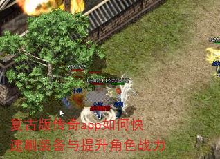 ���Ű洫��app��ο���ˢװ����������ɫս��