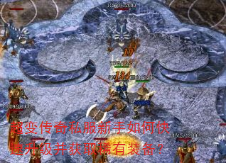 ���䴫��˽��������ο�����������ȡϡ��װ����