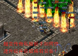 ���䴫��˽��������ο�����������ȡϡ��װ����